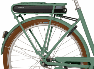 Bakskärm Prima Steps Grön (Inkl stag)